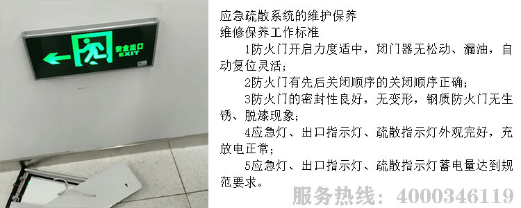 麻豆成人在线維保